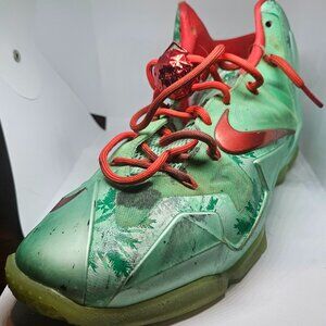 Nike Lebron Basketball Shoe